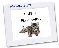 MemRabel 2